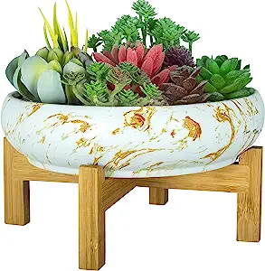 10 Inch Ceramic Succulent Pot with Drainage Marble Bonsai Pot with Stand Flower Planter Bowl for Indoor/Outdoor Succulent Cactus