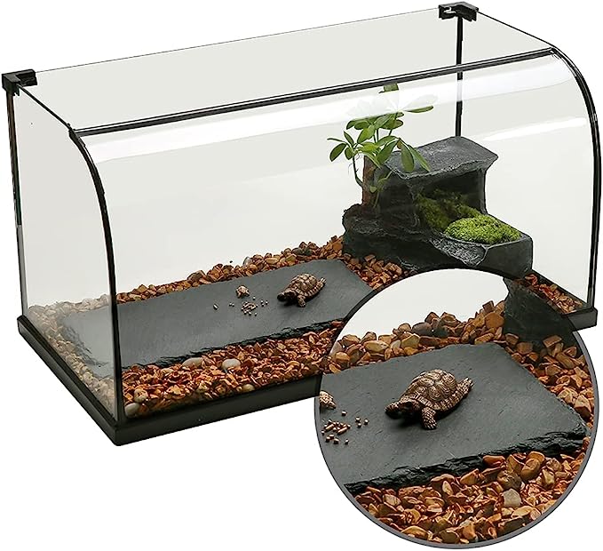 Tortoise Basking Platform, Bathing Area, Reptile Pet Resting Terrace