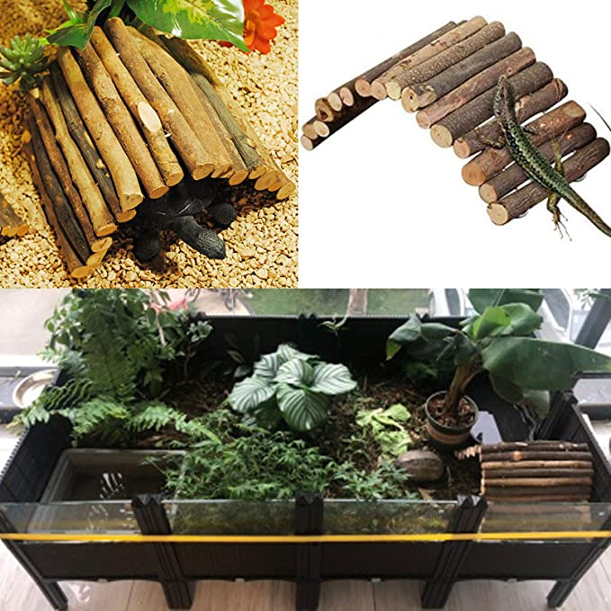 Wooden Reptile Hideout Bearded Dragon Bendy Bridge Climbing Ladder